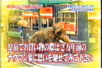 ナウマン象+α・トリビア(trivia)