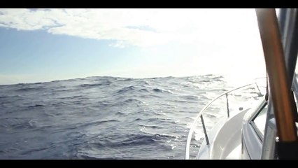 Hatteras Fishing Report