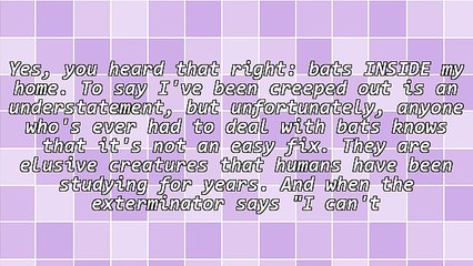 What I Learned About Digital Marketing From Having Bats In My Home