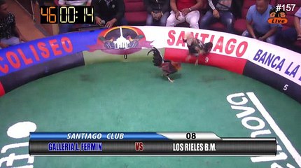 08-GALLERIA L FERMIN VS MON DIEZ SG-26-04-2017