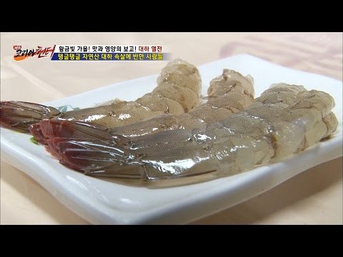 탱글탱글한 자연산 대하의 속살~ [뉴 코리아 헌터] 20회 20161019