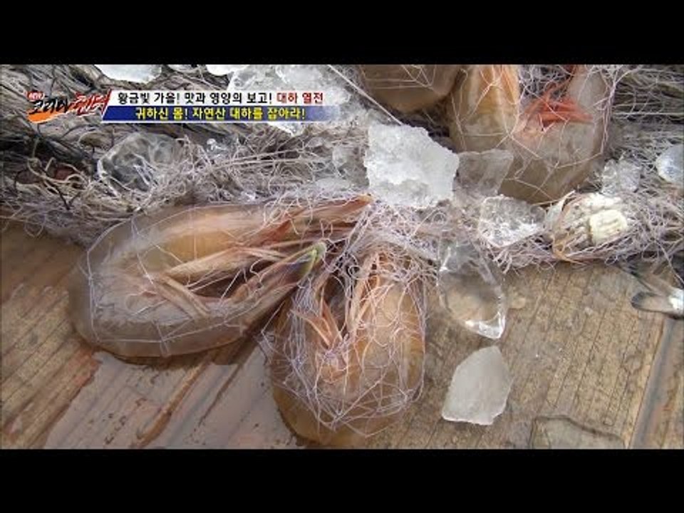 대하를 잡는 순간을 포착하다! [뉴 코리아 헌터] 20회 20161019