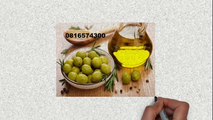 081-657-4300 (Indosat) Jual Minyak Zaitun Murah Nias
