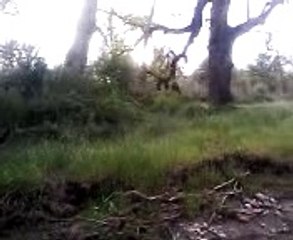 start an easy home business