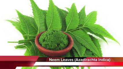 Top 5 Remedies To Treat Dengue Fever-jsy97Brj23U
