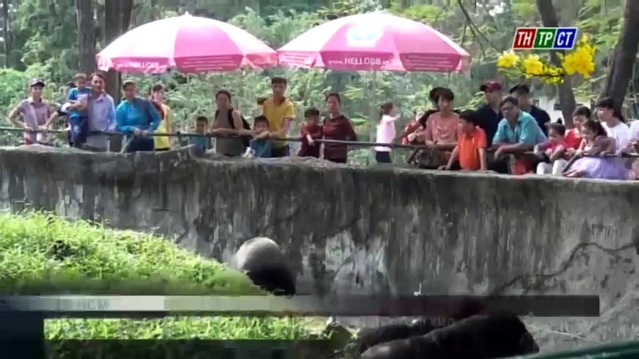 Vô tư ngắm thú bất chấp biển cảnh báo thú nguy hiểm tại Thảo Cầm Viên
