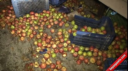 Ankara'da yolcu otobüsü ile kamyon çarpıştı: 11 yaralı