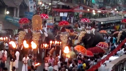 elephant attack in kerala 2016