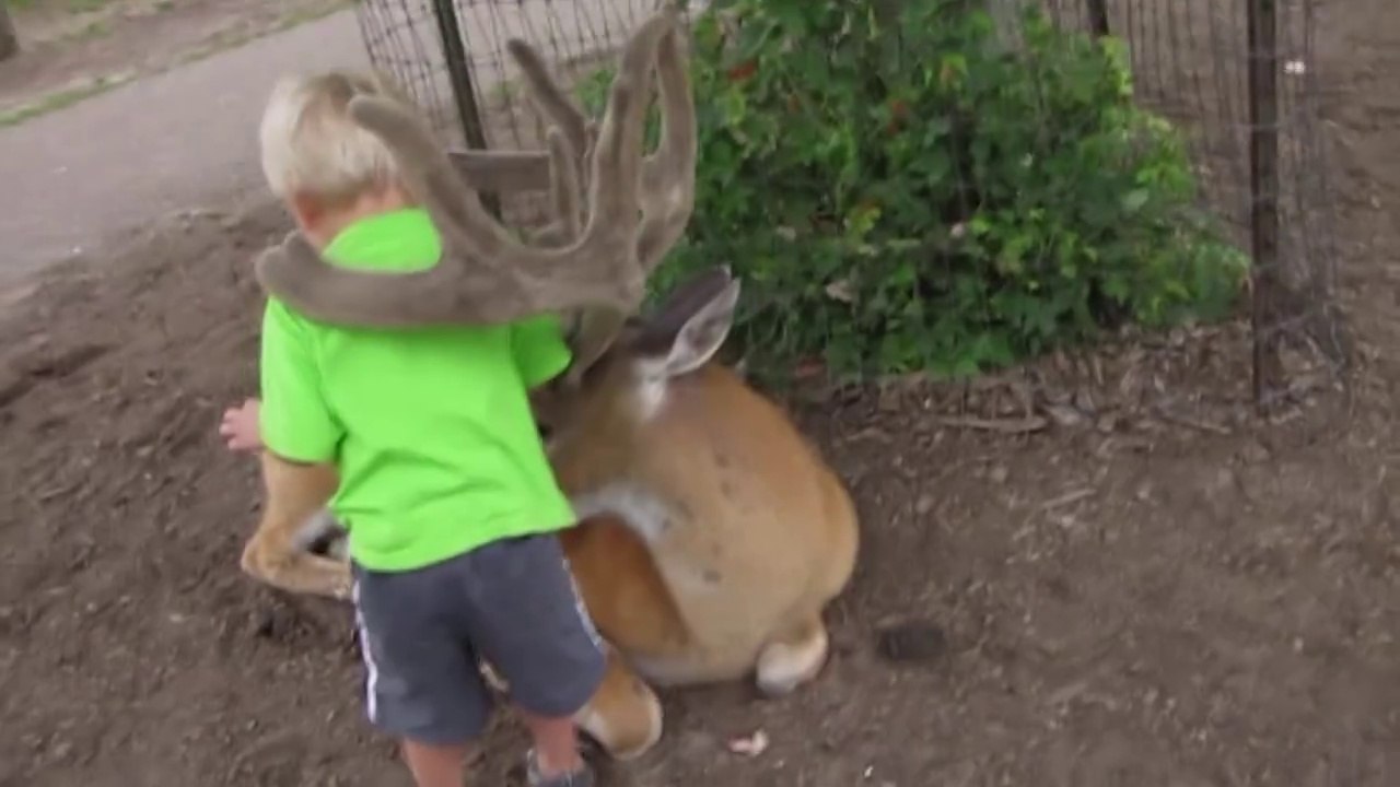 Quand tu te fais de nouveaux amis... Animaux VS Enfants