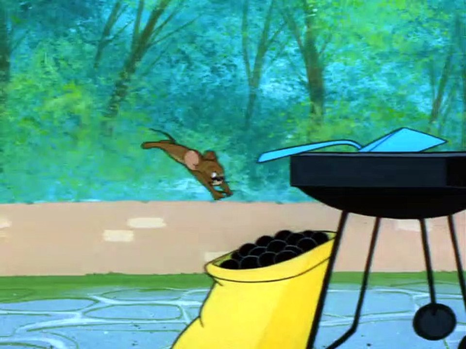 Tom and Jerry 104 - Barbecue Brawl
