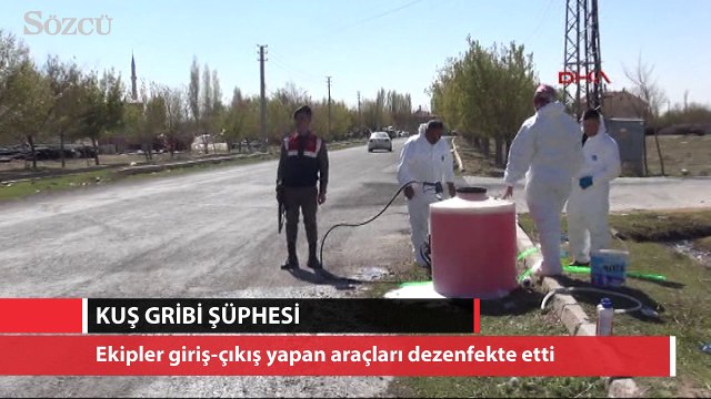 Niğde'de kuş gribi şüphesi