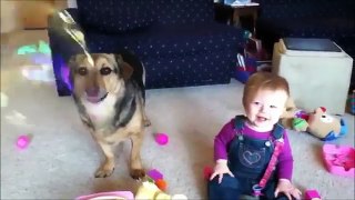 WHEN DOGS & BABIES COLLIDE