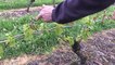 Regarder Meteo - meteo. sur DailyMotion.com