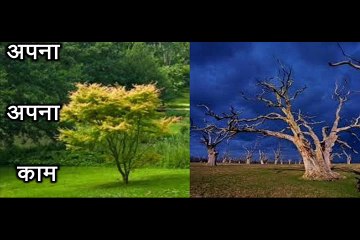 प्रेरणा कथा 124 अपना अपना काम Apna Apna Kaam