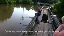 Avery Island -- We Spotted Alligators in the Wild!-Q4W9_r8uNY