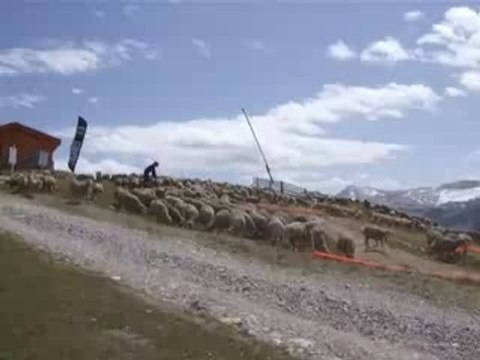 DH O Guilbert Tignes Palafour