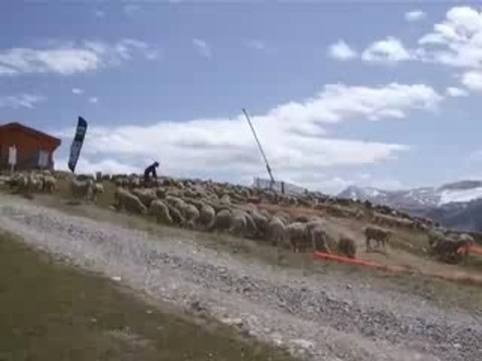 DH O Guilbert Tignes Palafour