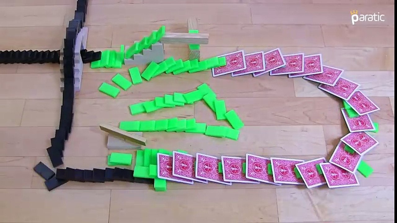 Domino Taşları ile Yapılan Harika Gösteriler - paratic