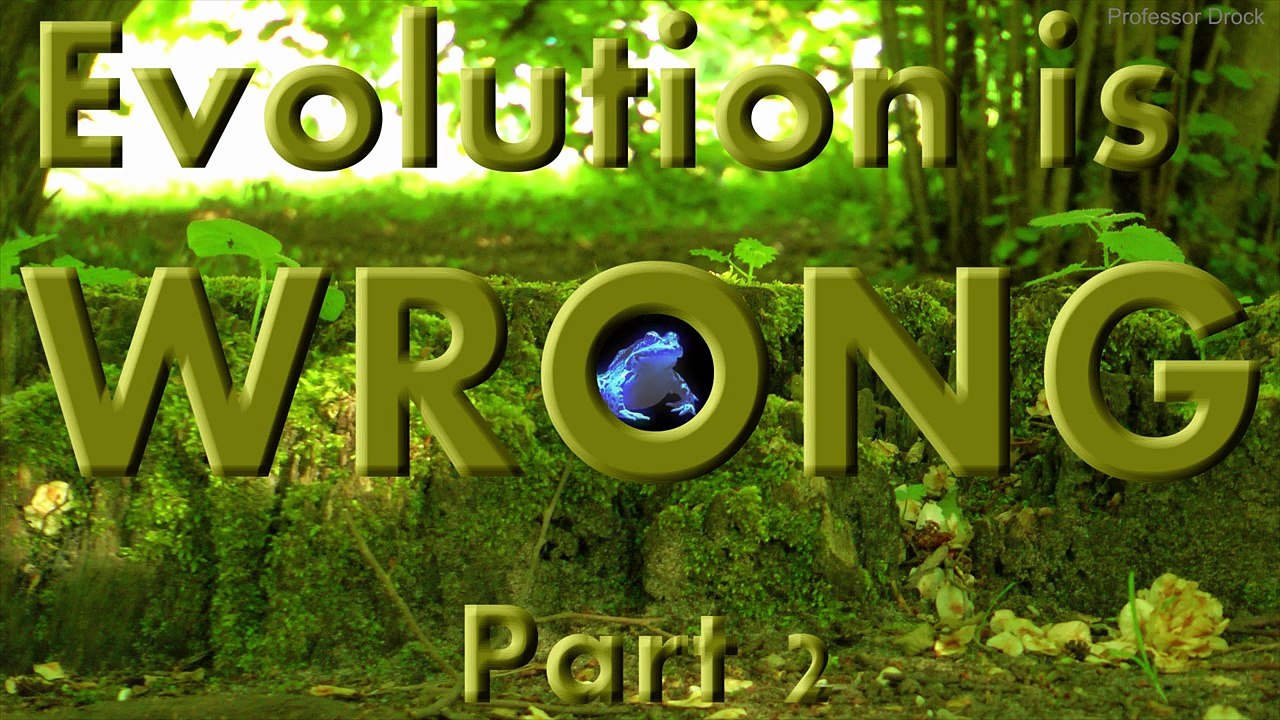 Evolution is WRONG pt. 2 - SPACE FROGS - La Evolución es incorrecto