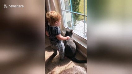 Baby plays with cat's ears in the most adorable way