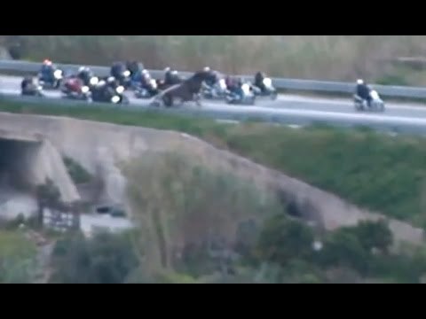 Reggio Calabria - Spaccio nella movida e corse di cavalli clandestine: 15 arresti (27.04.17)