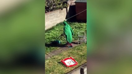 Une nouvelle façon de tondre sa pelouse !