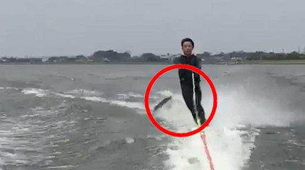 La guerre entre poissons et amateurs de ski nautique fait sa première victime