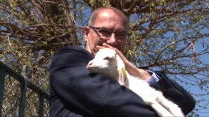 Coğrafi İşaretli Ürünler Zirvesi Yarın Başlıyor