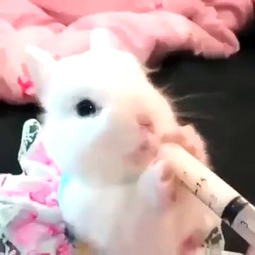 Bu kadar da sevimli olunmaz ki