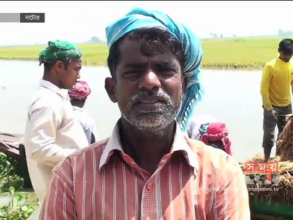 বিভিন্ন অঞ্চলে আকস্মিক বন্যায় ডুবে গেছে ফসল, বিপাকে কৃষক