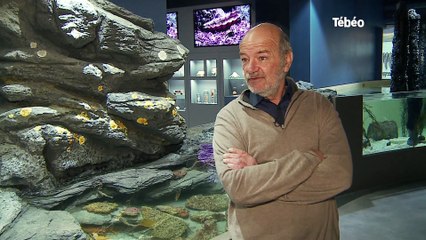 Brest (29). Eric Hussenot quitte le navire Océanopolis