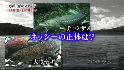 幻解！超常ファイル～ネッシーは実在するのか？（２／２）～｜#NHK #超常現象 #栗山千明