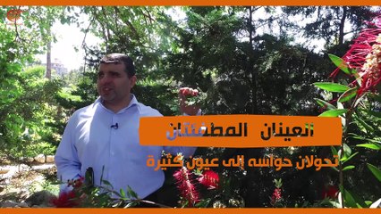 ماذا ولماذا: الكفيف، بعين قلبه يرى