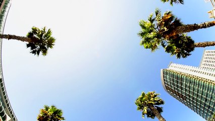 How Marta is getting listings in an ultra-competitive market with BoldLeads... - YouTube