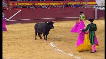 Iván Fandiño - La Candelaria de Valdemorillo - 4-2-2017 SEGUNDO TORO-bullfighting festival Crazy bul