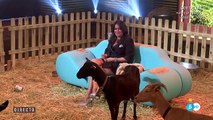 Aída Nízar habla con las cabras y confiesa: “Llevaba dos años esperando este momento”/ Gran...