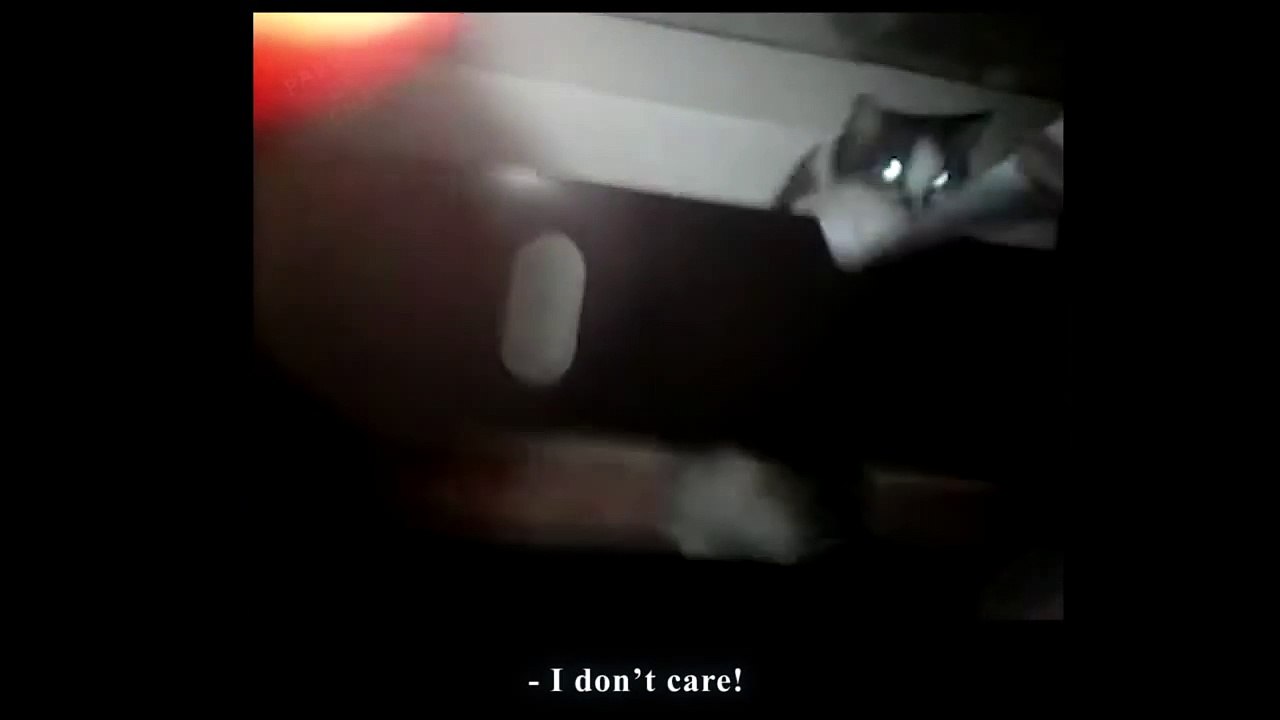 LES IMPÔTS - PAROLE DE CHAT