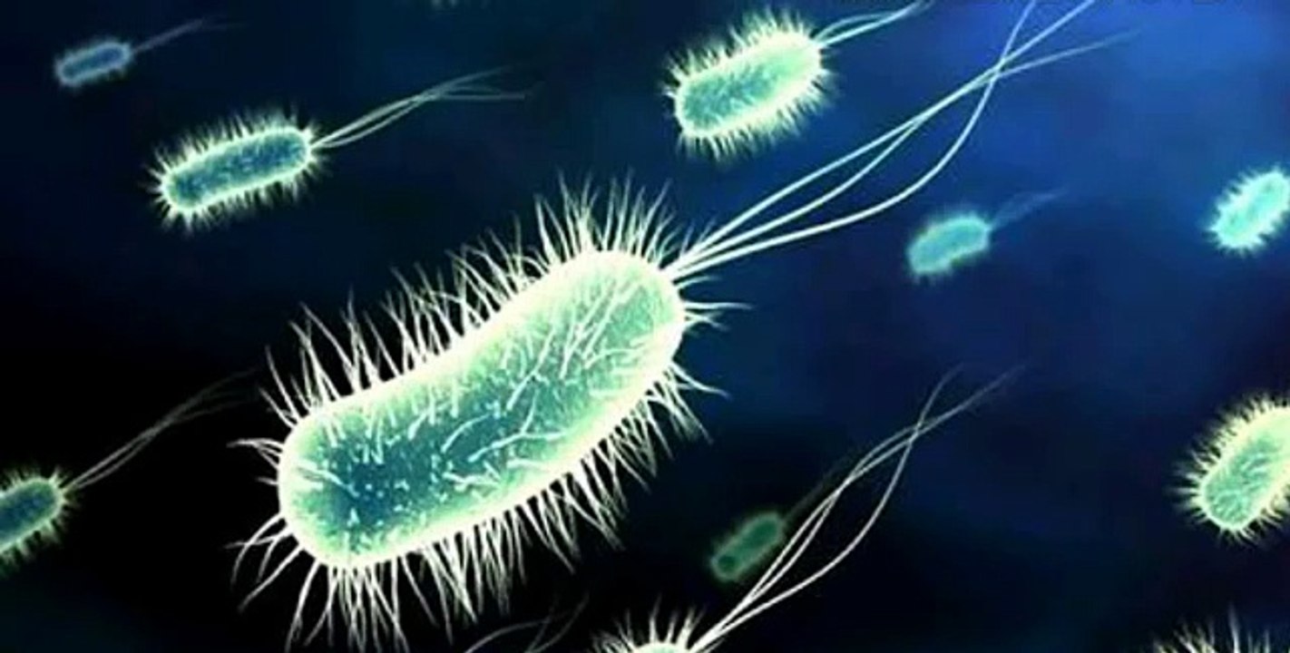 Amazing Facts in Telugu Episode-3_ Interesting Facts You Didn't Know _ Telugu Badi