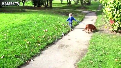 Heartwarming Moments: Adorable Dogs and Babies Playing Together 🐶👶