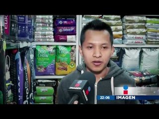 Cuánto subirá el precio de la canasta básica en la Central de Abasto