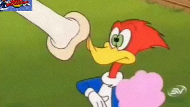 El Pajaro loco las nuevas Aventuras en,(carrera de almeja)