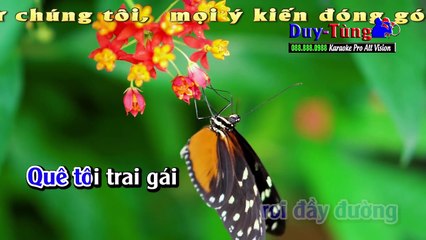 Karaoke - Đám Cưới Trên Đường Quê - Nhạc Sống Đám Cưới Hay Nhất 2017 - Organ Minh Công