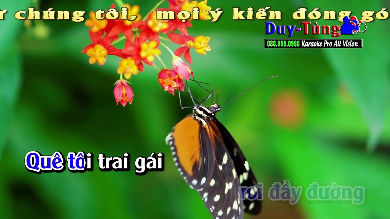 Karaoke - Đám Cưới Trên Đường Quê - Nhạc Sống Đám Cưới Hay Nhất 2017 - Organ Minh Công