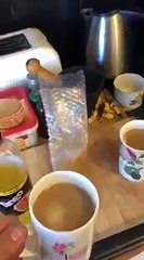 Ces enfoirés frottent du piment sur le bord de la tasse de café de leur pote