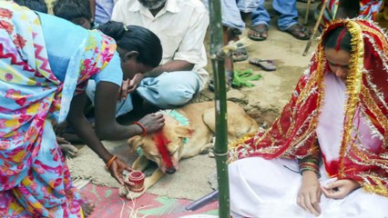 10 Unusual Couples You Won t Believe Exist