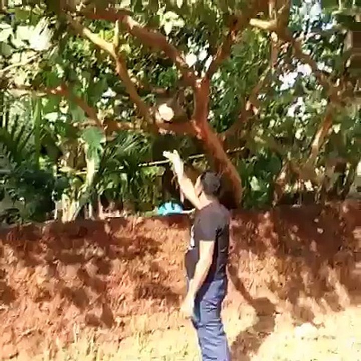 What the hell..  O  O