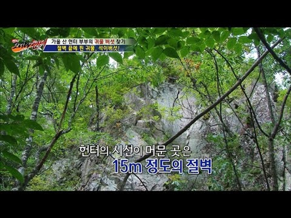 절벽에 버섯이 있다?! [뉴 코리아 헌터] 19회 20161012