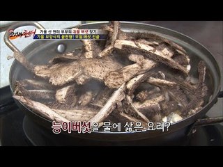 능이버섯, 절대 구워먹지 말라?! [뉴 코리아 헌터] 19회 20161012