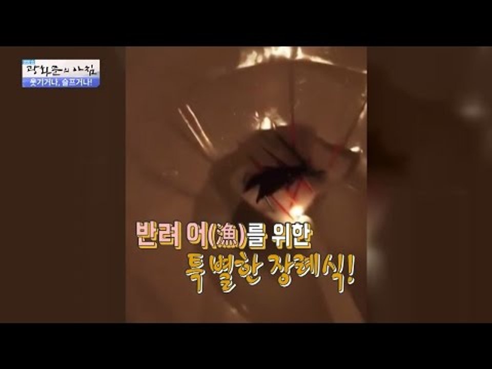 물고기 안녕...변기 속으로 안녕... [광화문의 아침] 334회 20161012