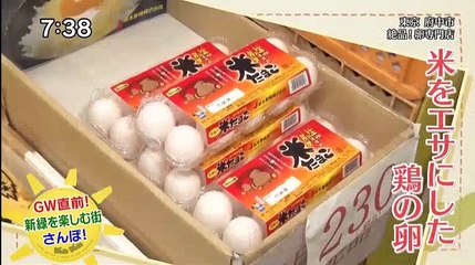 朝の！さんぽ道【府中】旅人 藤吉久美子   2017年04月27日 170427 (28)